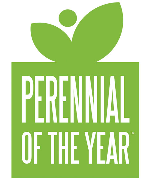 Perennial of the year logo