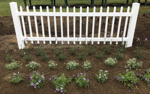 picket_fence_newly_planted.jpg