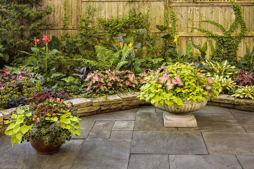 shady_patio_garden_332.jpg