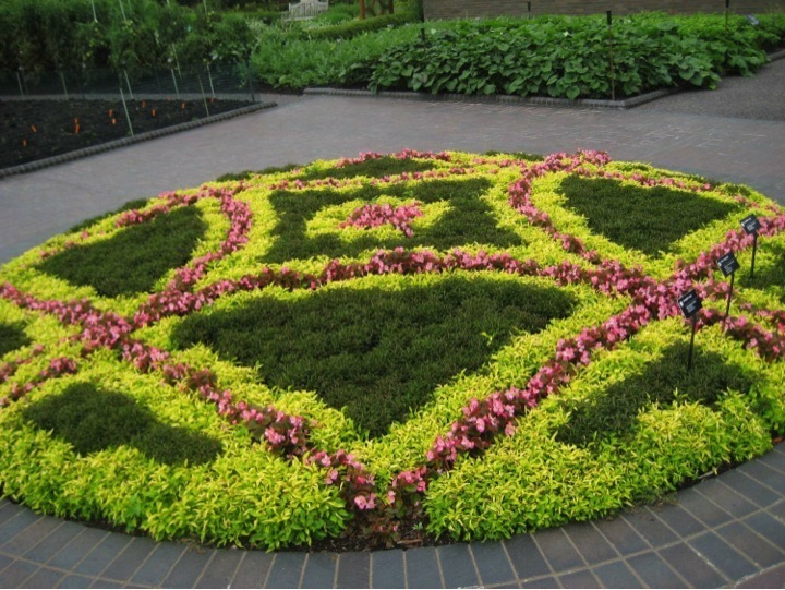 What's Your Color? Chartreuse | Proven Winners on Annual Flower Bed Designs
 id=62444