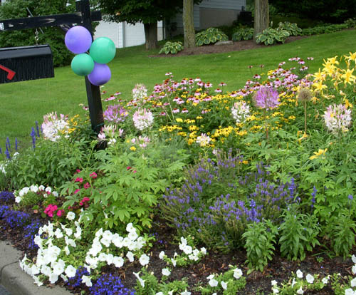 Create Your Own Mailbox Garden | Proven Winners on Mailbox Garden Designs
 id=28128