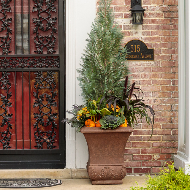 Sunny porch office with potted plants