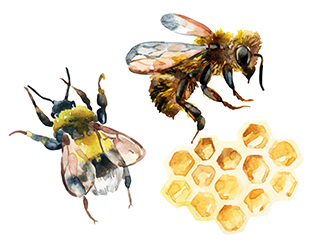 bee