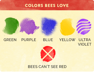 bee chart