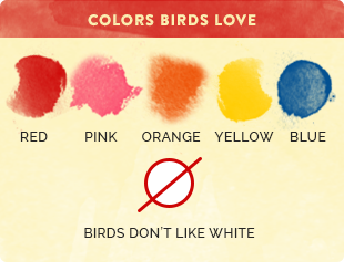 colors birds love