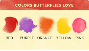 butterfly chart