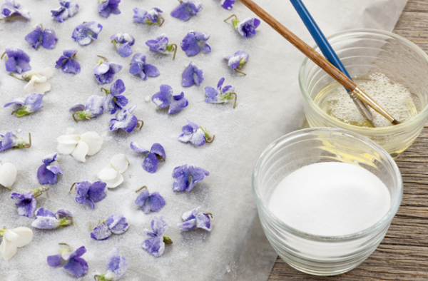 Preserved Flowers