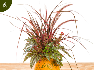 creating pumpkin vase step 3