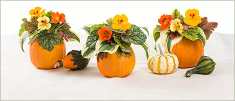 creating pumpkin vase final