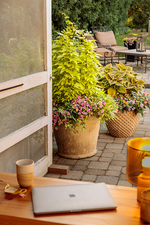 Patio with container plants