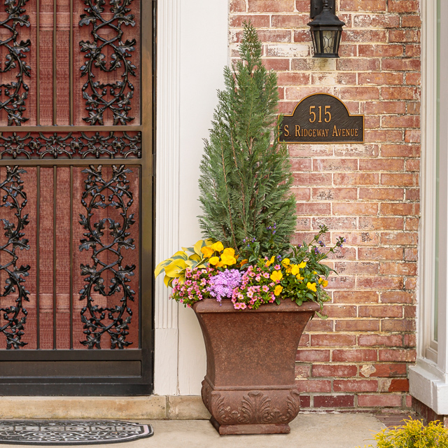 Sunny porch office with potted plants