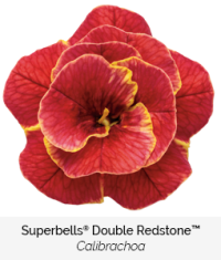 superbells double redstone